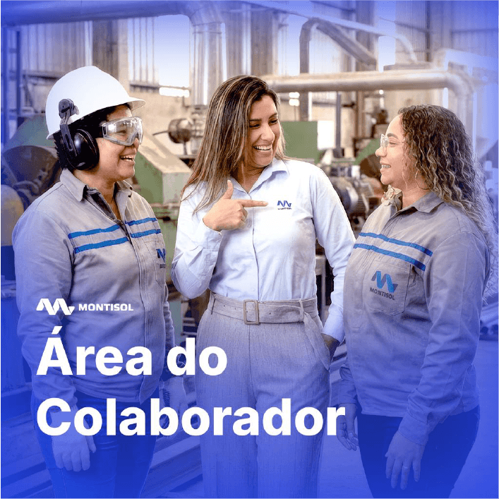 Área do Colaborador